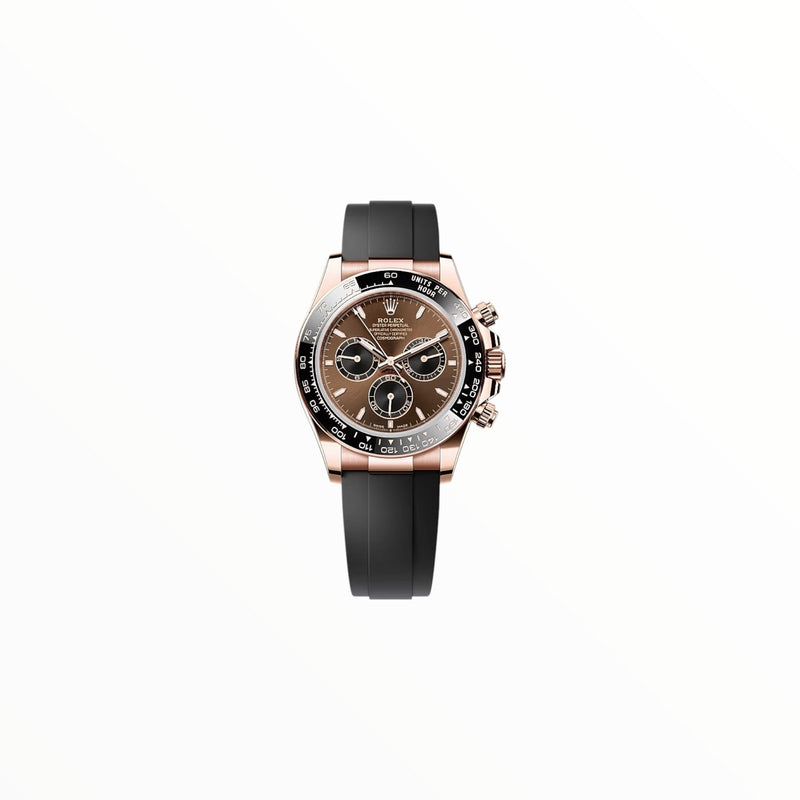 Rolex Daytona Chocolate Dial with Rubber Strap