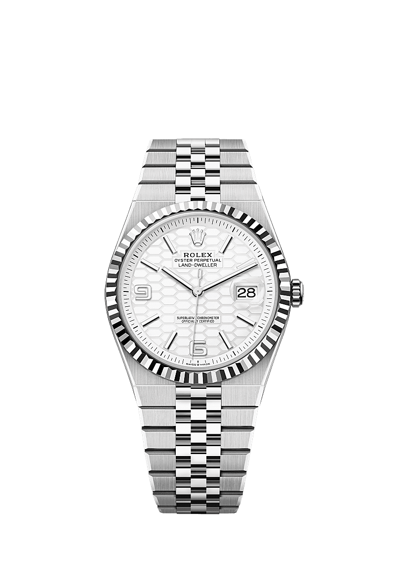 Rolex Land Dweller Silver